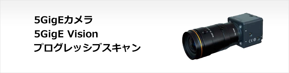 5GigE Vision Progressive Scan Cameras - KP-FMD250GV